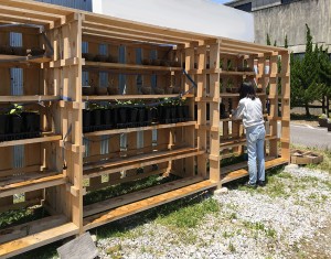 5月22日 どんぐり苗棚散水機設置 | 天使の森プロジェクト